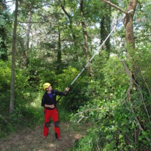 Silky Hayauchi 4900-6.5 stangsav